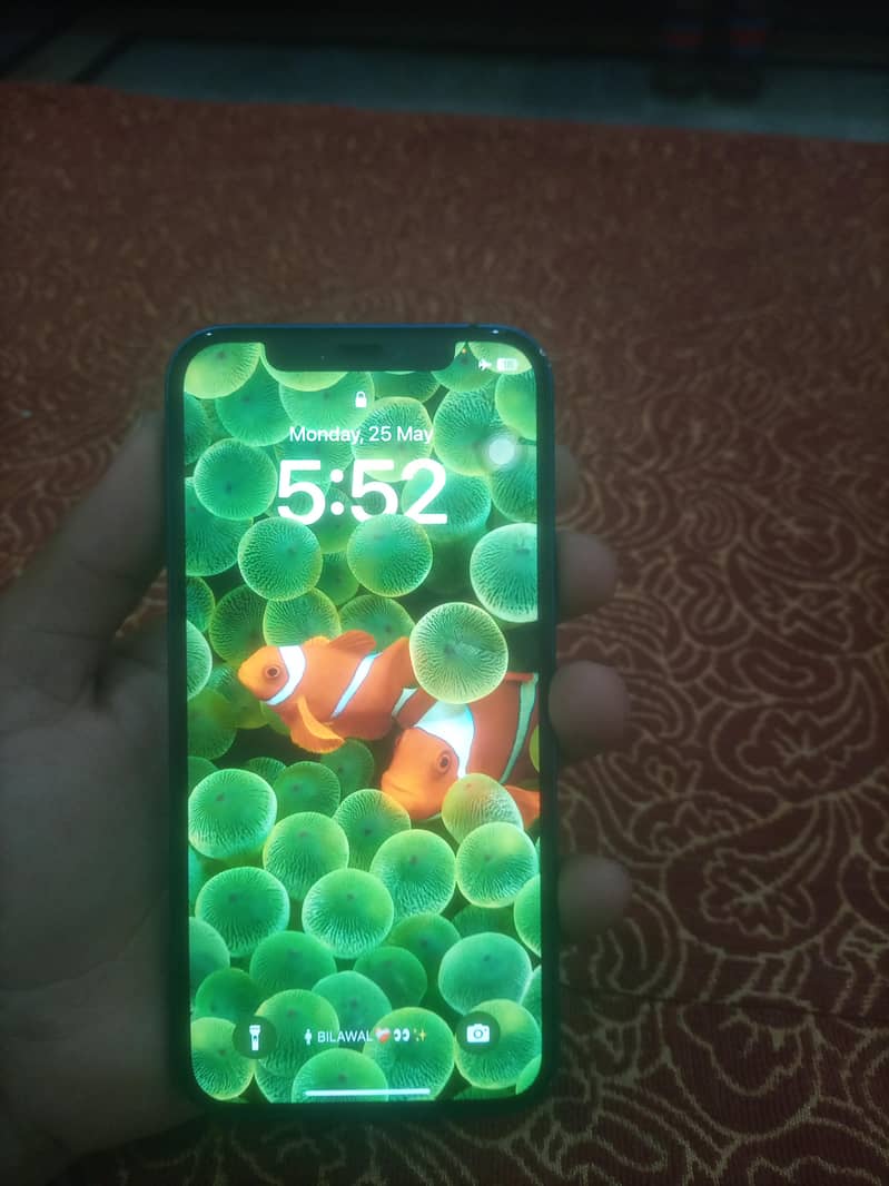 Apple iPhone 12 1