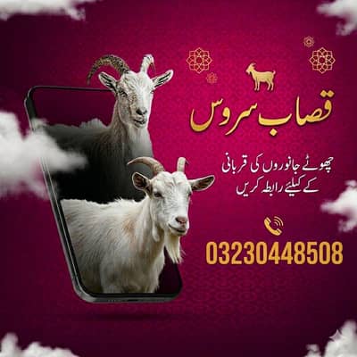 قصاب سروس