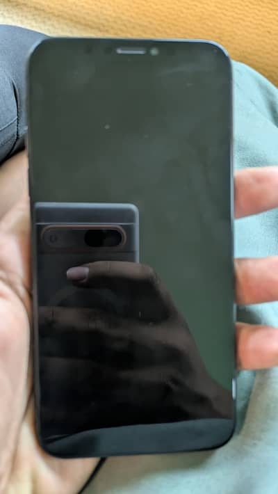 Apple iPhone X
