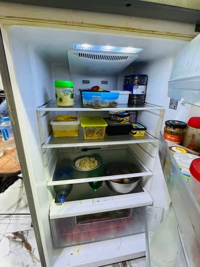Sharp Refrigerator