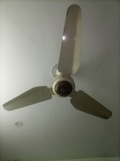 Ceiling Fans