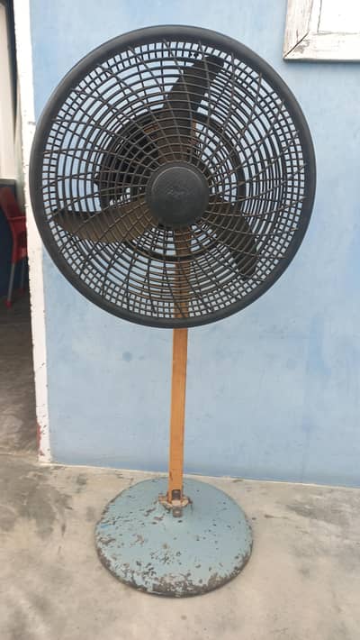 AC DC Fan Belino Motor Fan