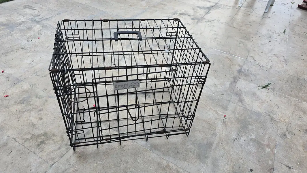 made in uk big size cagenew