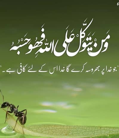 Murshad 