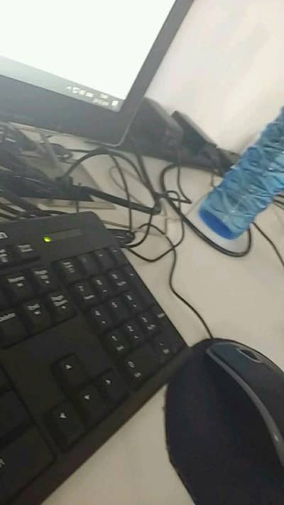 online work from home female/male