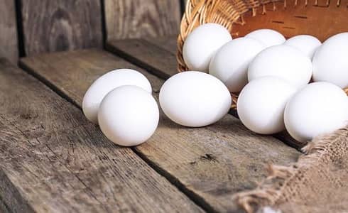 duck fertile eggs for sale in reasonable prices