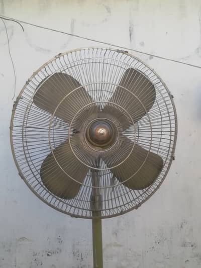Pedestal fan (Mehndi Color)