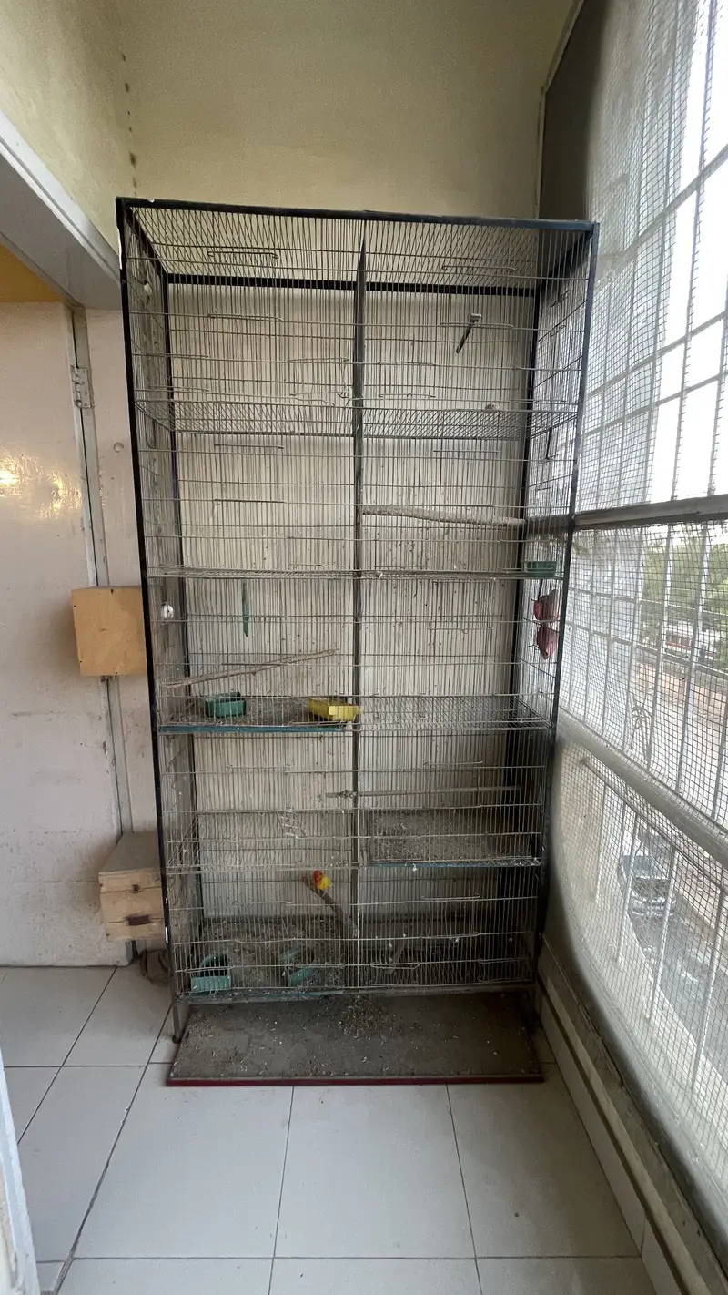 Parrots cages for sale 2 cages han iak 10 portions ka ha or iak 6