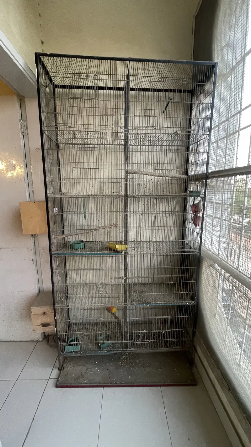 Parrots cages for sale 2 cages han iak 10 portions ka ha or iak 6 — photo 4