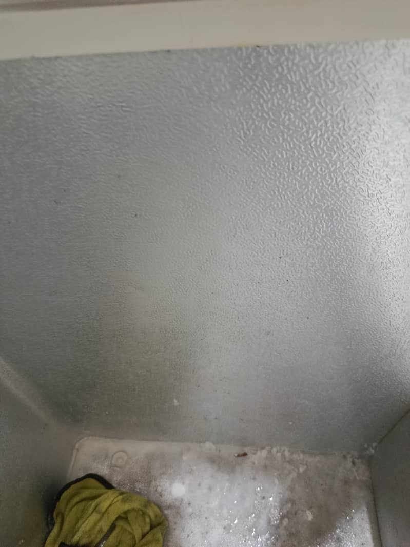 Waves Freezer 8