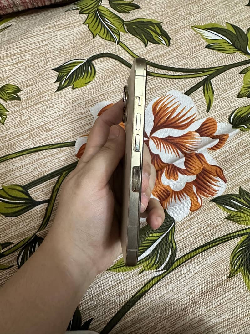 Iphone 13 pro 0