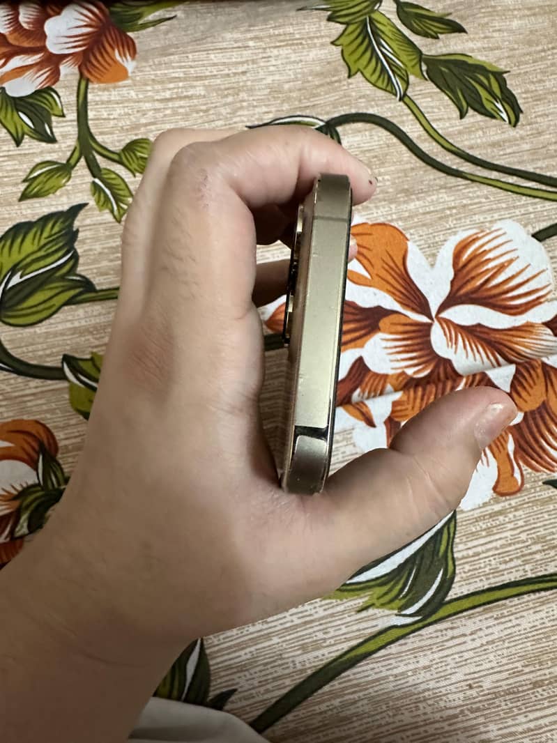 Iphone 13 pro 3