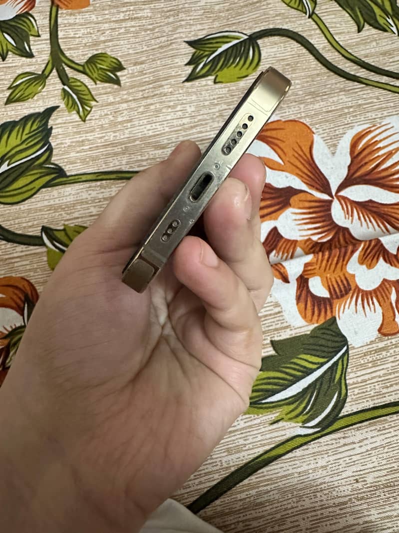 Iphone 13 pro 4
