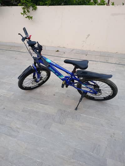 SWLS company cycle