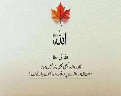 mr saifi
