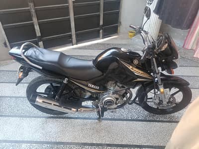 Ybr 125
