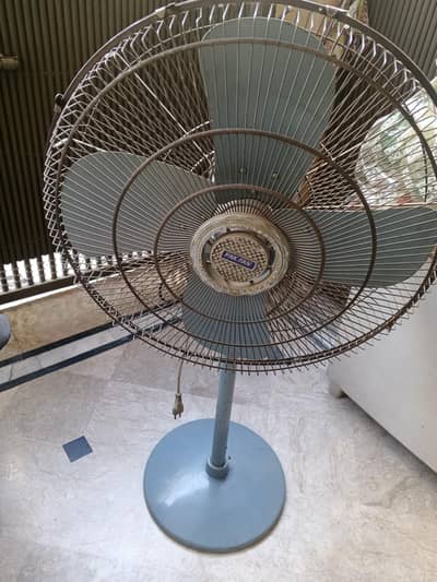 Pak Fan (size 24")