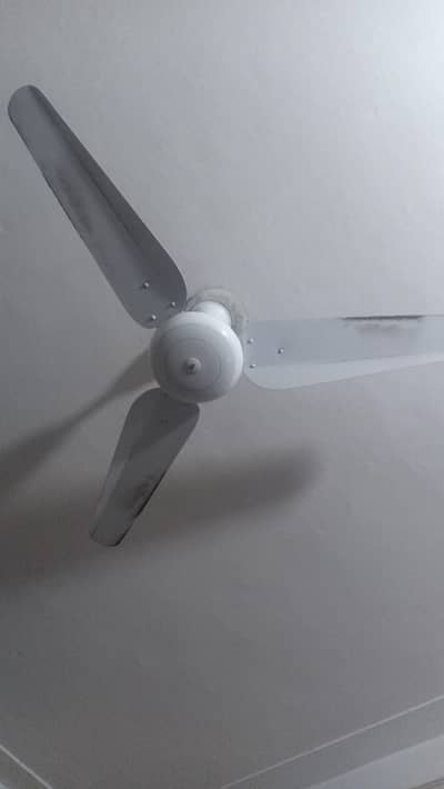 5 copper Ceiling fans