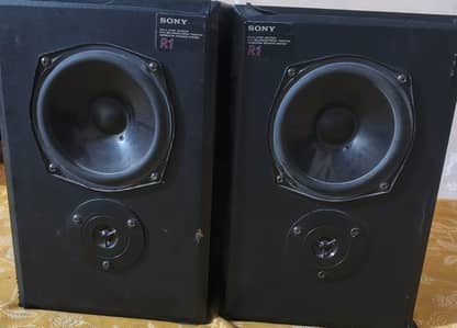 Sony R1 bookshelf speakers