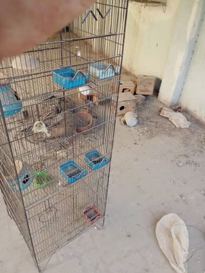 cage for sale,urgent
