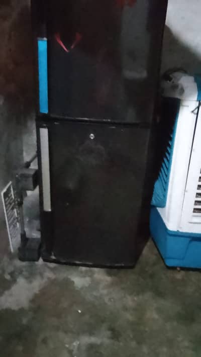 Orient fridge