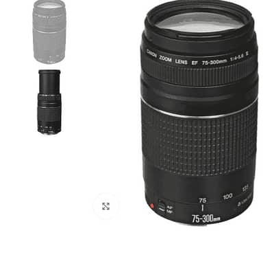 Canon lens 75-300mm f/4-5.6 ||| Zoom Lens