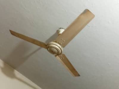 urgent sale new fan best condition