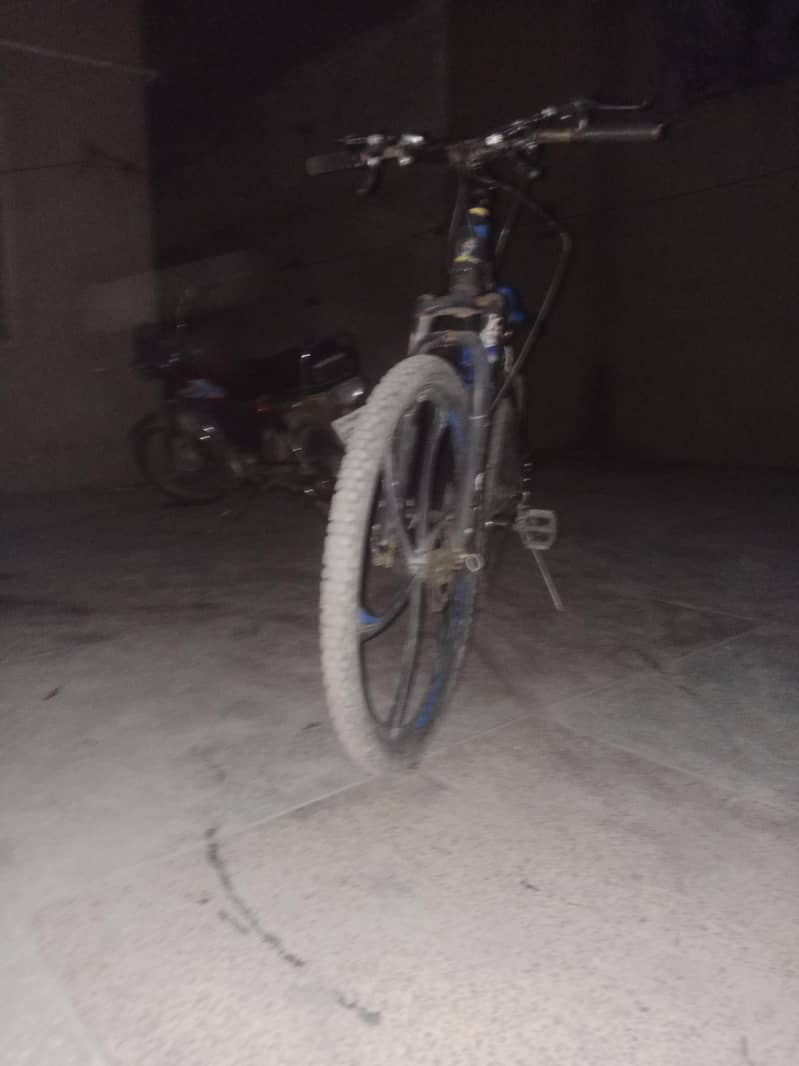 plus cycle 8