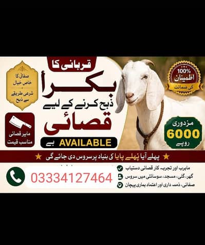 Qasai For Qurbani