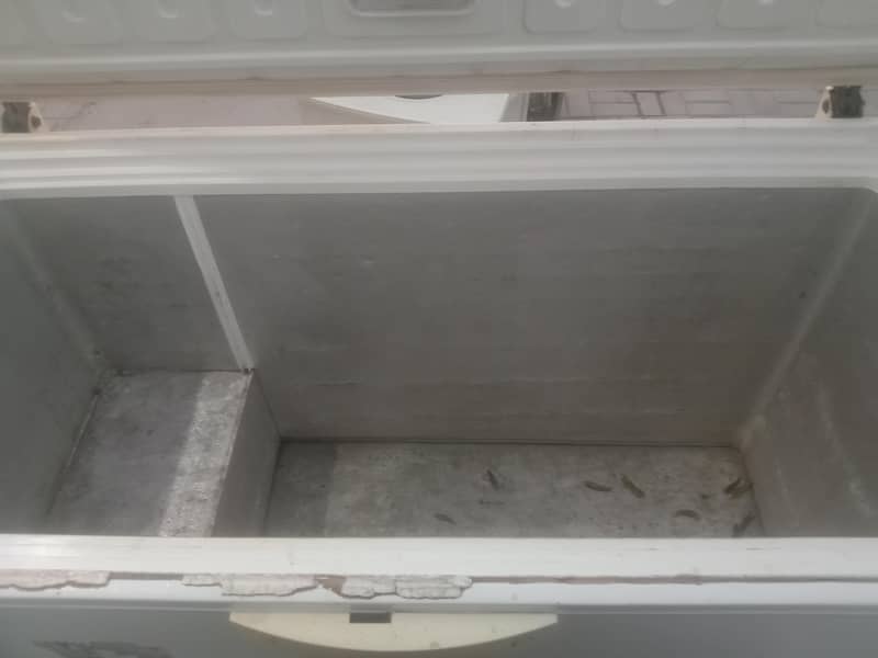 freezer 3