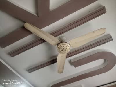 Ceiling fan