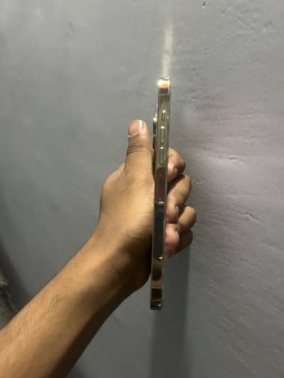 Iphone 13 pro max non pta factory unlock
