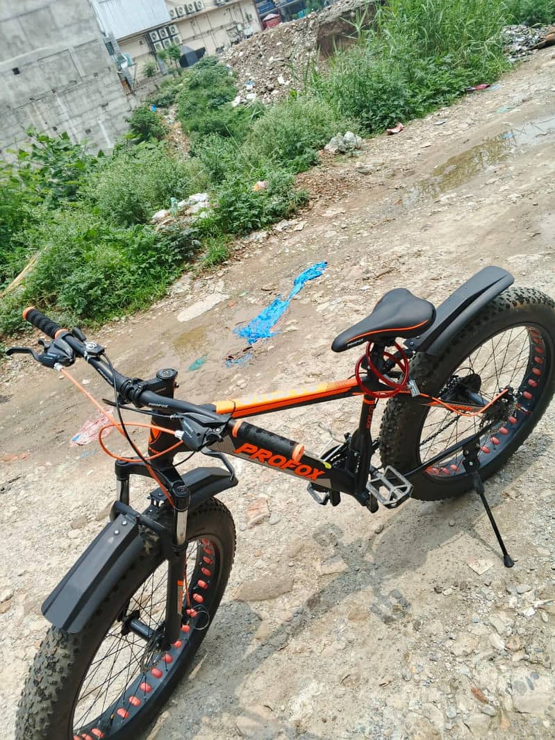 Mountain cycle 3