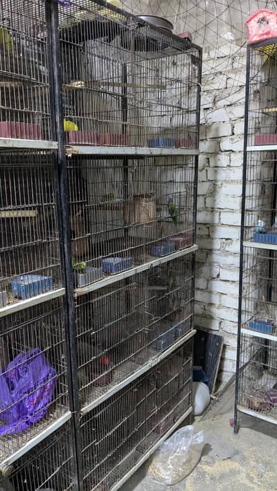 cage or accessories for sale 03141443869