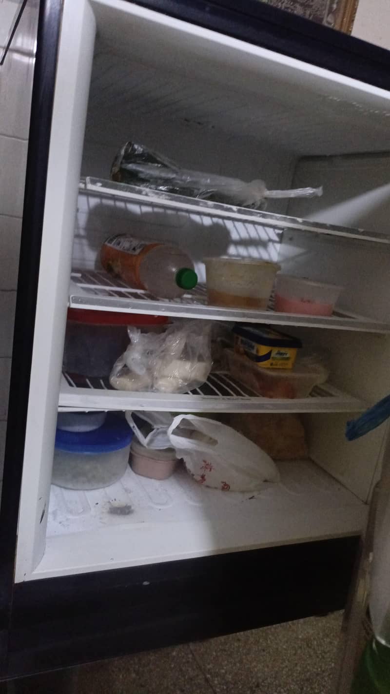 pel refrigerator 2