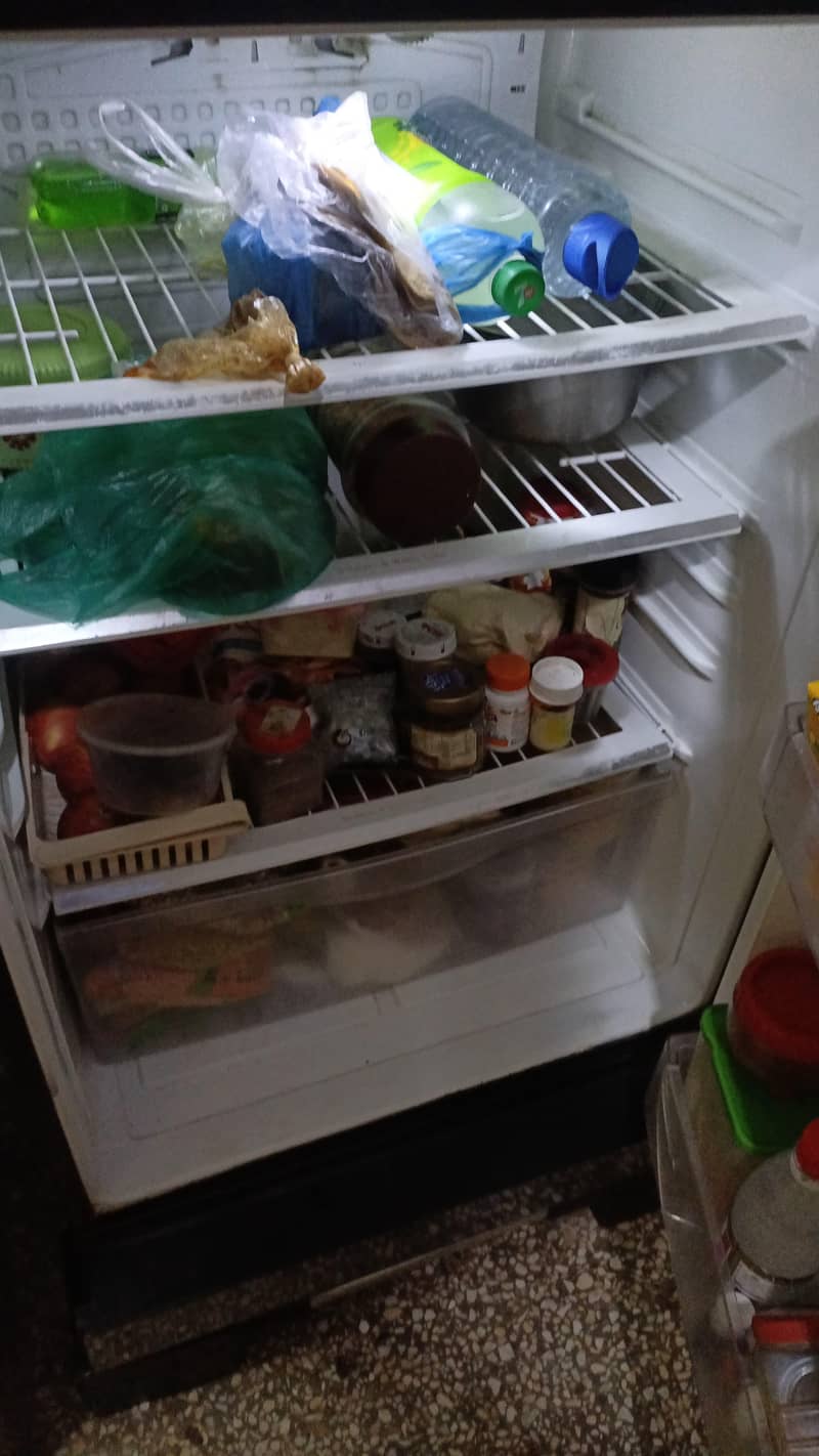 pel refrigerator 4