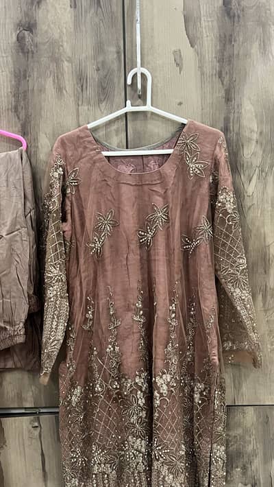 Net shirt , pure shuffon embroided dupata