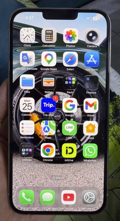 Apple iPhone 13 Pro Max