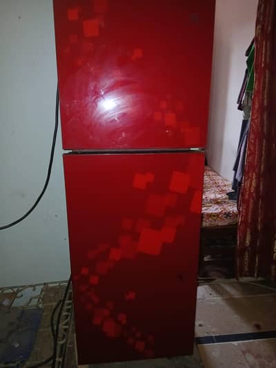 pel ka fridge