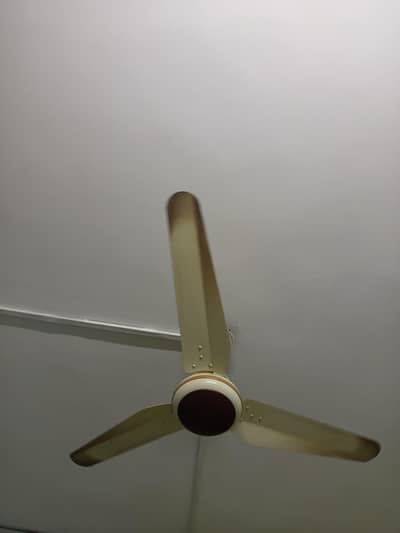 AC/DC 3 Pak Fan