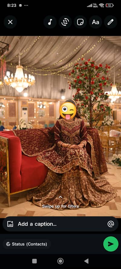 Royal Maroon Heavy Embroidered Sharara/Lehenga for Wedding
