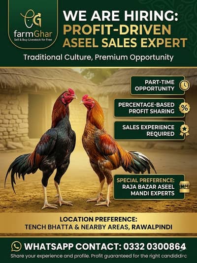 Part-Time Opportunity for Aseel Chicken Seller in Mandi or on Shops