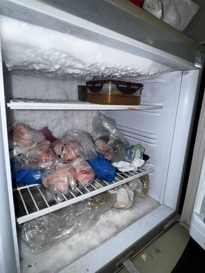 Pel refrigerator 2300JF for sale
