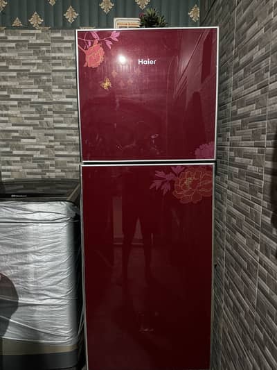 Hair Fridge