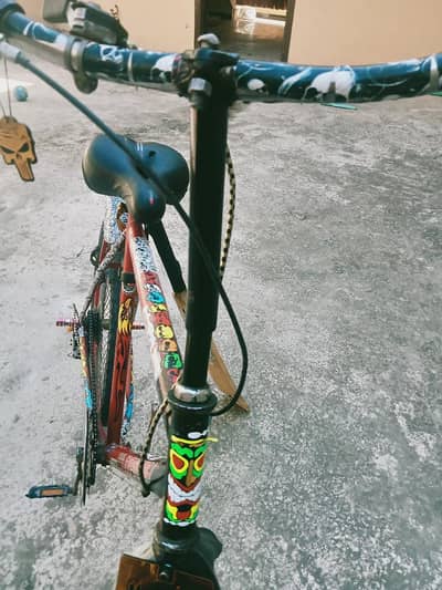 phoenix cycle