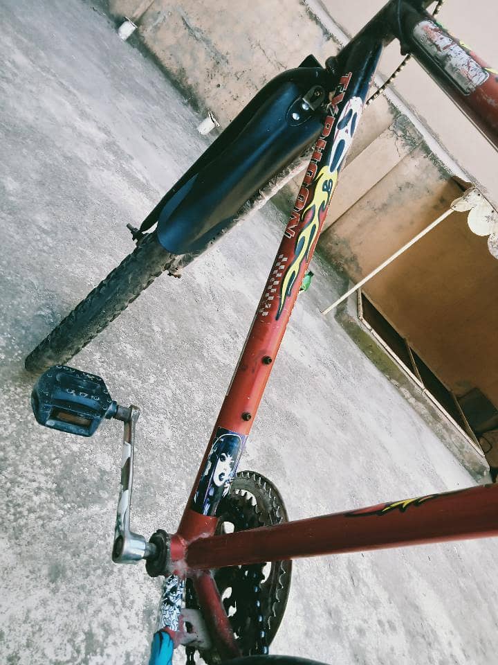 phoenix cycle 2