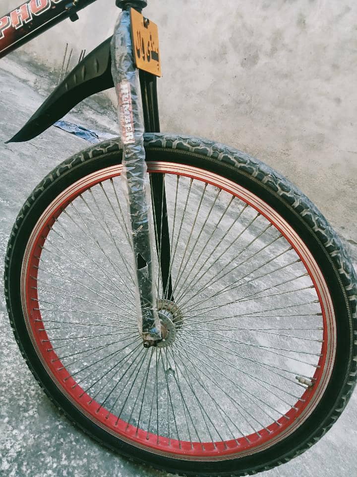 phoenix cycle 3