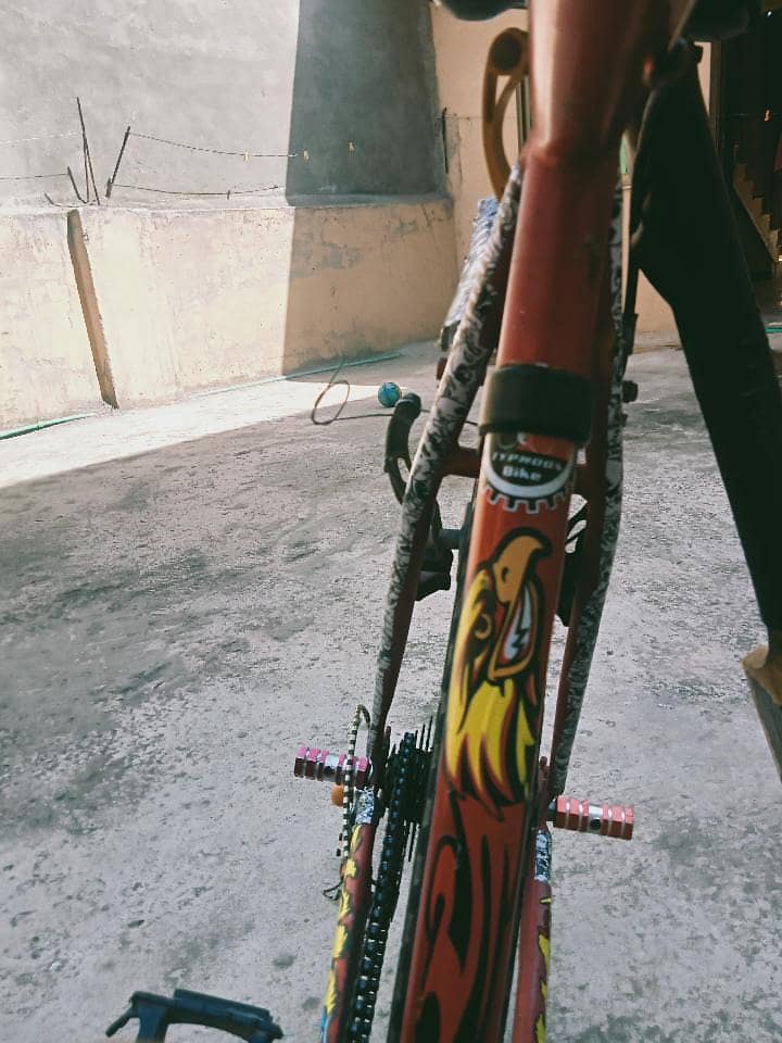 phoenix cycle 4