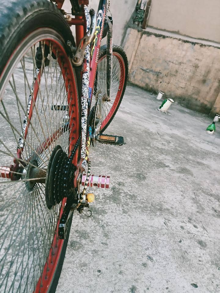 phoenix cycle 5