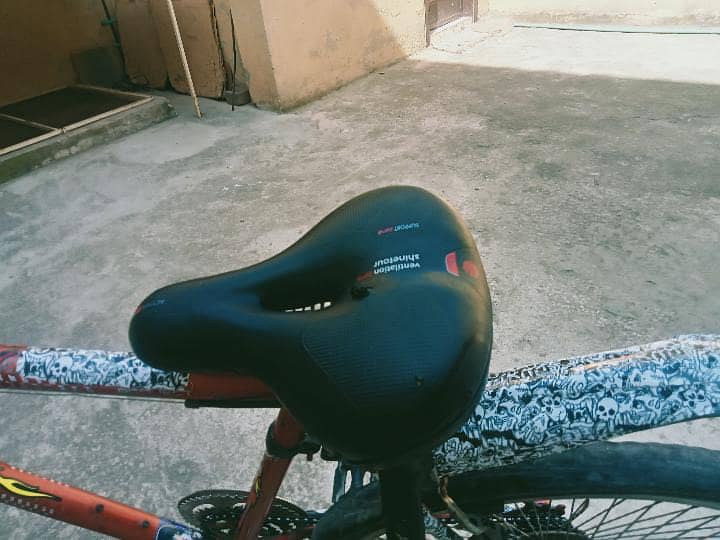 phoenix cycle 6